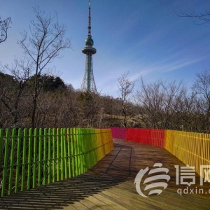 青島深化辦實事解難題工作 營造四季如春城市管理環(huán)境