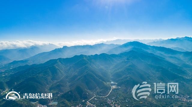 青島國際種都核心區(qū)構(gòu)建種業(yè)高地 即墨區(qū)助推青島建設(shè)農(nóng)業(yè)強市