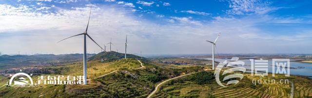 青島國際種都核心區(qū)構(gòu)建種業(yè)高地 即墨區(qū)助推青島建設(shè)農(nóng)業(yè)強市