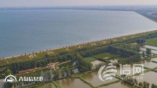 信號山：解淡水之渴 一張“大水網(wǎng)”正在青島繪就