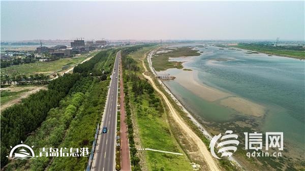 信號山：解淡水之渴 一張“大水網(wǎng)”正在青島繪就