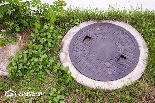假如“信網(wǎng)不信訪(fǎng)”的阮主任舉報(bào)內(nèi)容屬實(shí)，對(duì)人民的傷害有哪些？