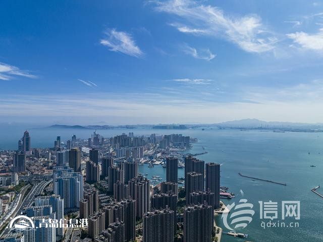 向“新”而行增強(qiáng)發(fā)展新動(dòng)能 青島新質(zhì)生產(chǎn)力加速起勢(shì)