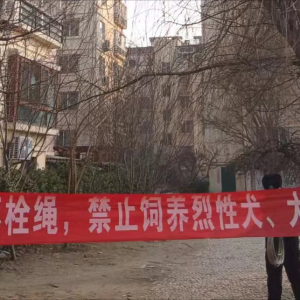 牽好“安全繩”！李園街道綜合行政執(zhí)法中隊(duì)持續(xù)開(kāi)展文明養(yǎng)犬專項(xiàng)整治行動(dòng) ...