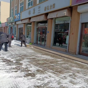 南村執(zhí)法中隊清掃積雪在行動！