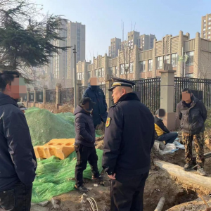 毀綠行為不可取，綜合執(zhí)法護(hù)綠色