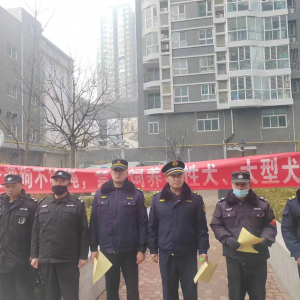 李園街道綜合行政執(zhí)法中隊(duì)：加強(qiáng)犬只管理，營(yíng)造和諧氛圍