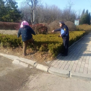 同和執(zhí)法中隊:“嚴格執(zhí)法，守護綠色家園”園林綠化執(zhí)法巡查工作 ...