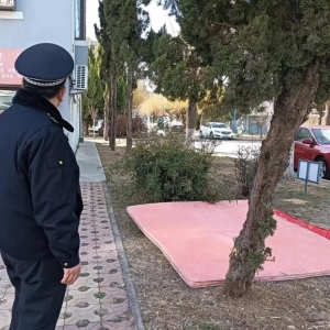 平度市東閣街道執(zhí)法中隊整治占綠毀綠，守護美好家園