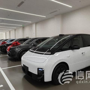 理想MEGA遭惡意調(diào)侃銷量不佳？銷售：每天都有車主提車