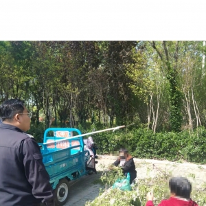 平度市東閣街道執(zhí)法中隊“信用+執(zhí)法”，呼吁廣大市民愛綠護綠 ...