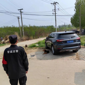 鳳臺(tái)執(zhí)法中隊(duì)：文明養(yǎng)犬，你我共行