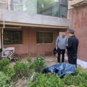 查處毀綠行為，還居民美好家園