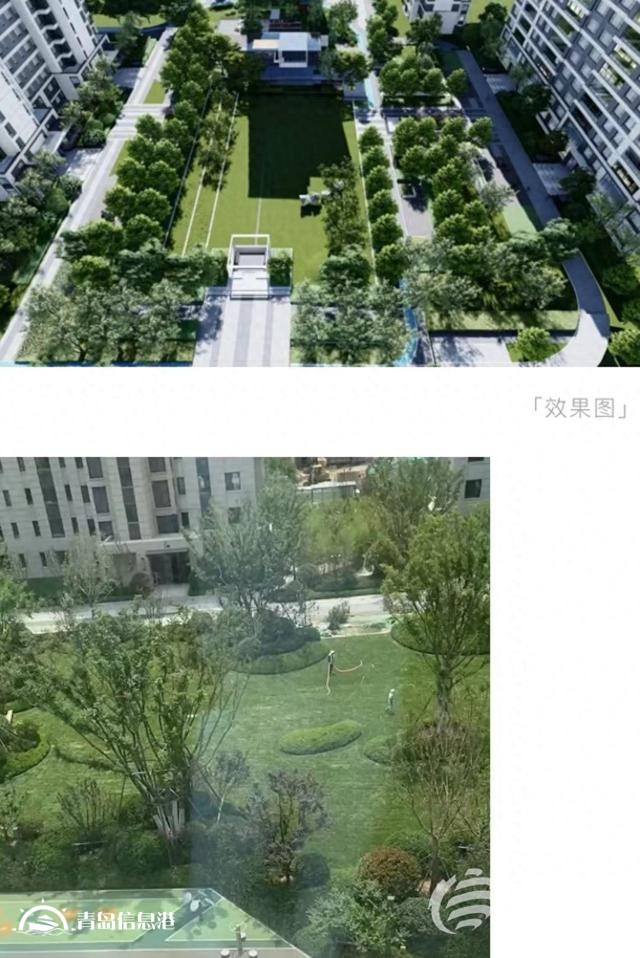 業(yè)主質(zhì)疑金茂府交付標(biāo)準(zhǔn)減配 開(kāi)發(fā)商將對(duì)綠化景觀提升