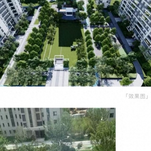 業(yè)主質(zhì)疑金茂府交付標(biāo)準(zhǔn)減配 開發(fā)商將對綠化景觀提升