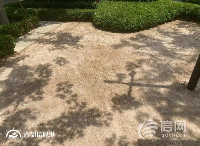業(yè)主質(zhì)疑金茂府交付標(biāo)準(zhǔn)減配 開(kāi)發(fā)商將對(duì)綠化景觀提升