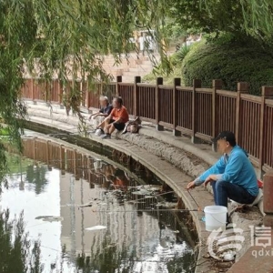 浮山后錦鯉湖欄桿破損 工作人員將加強(qiáng)巡視勸離垂釣者