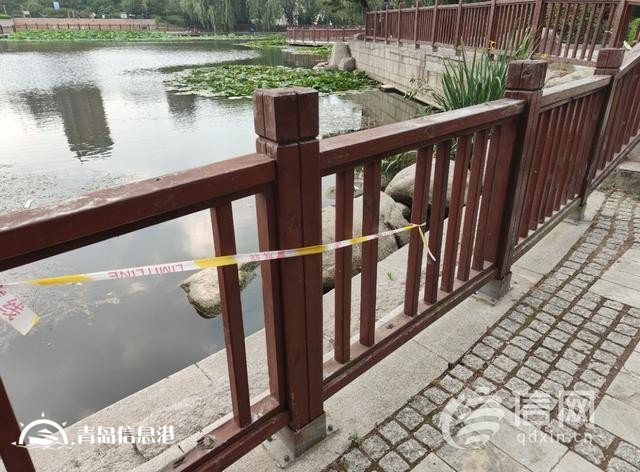浮山后錦鯉湖欄桿破損 工作人員將加強巡視勸離垂釣者