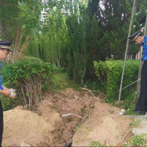 毀綠行為不可取，綜合執(zhí)法護綠色