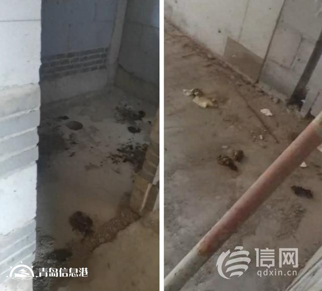 雙利東旭未來(lái)城延期交房 開(kāi)發(fā)商稱將于明年集中交付