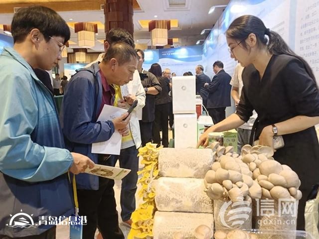 新品種新技術 國家食用菌產業(yè)技術體系“三新”交流會在萊西舉辦