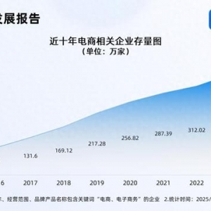 年貨節(jié)成績(jī)單亮眼 國內(nèi)電商相關(guān)企業(yè)存量破380萬家