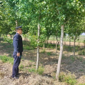 同和中隊(duì)：守護(hù)城市綠脈，繪就生態(tài)新圖