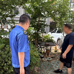 平度市東閣街道執(zhí)法中隊(duì)推進(jìn)文明養(yǎng)犬，共筑和諧宜居城市